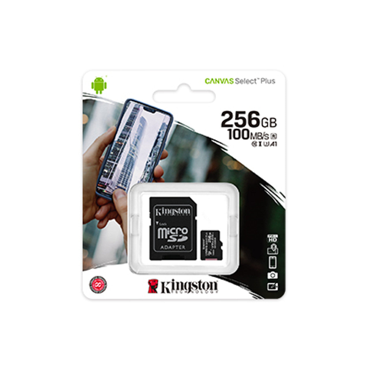 Kingston Memory cart