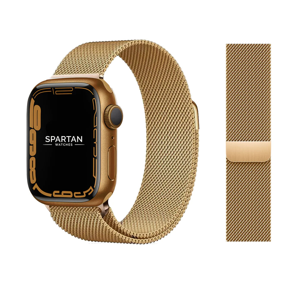 Watch Band Stainless
